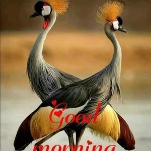 Meet your Posher, Jamshad